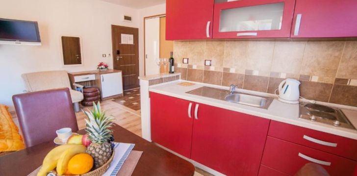 APARTMENTS DIMIC ELITE - klientų vertinamas, kaip geras kainos ir kokybės santykis. 