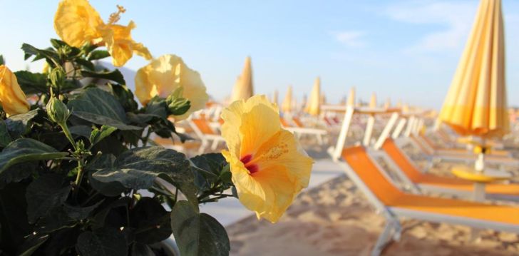 HOTEL VILLA LIETA - klientų vertinamas, kaip geras kainos ir kokybės santykis. 