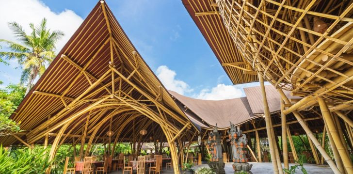 Atraskite Balio gamtos stebuklus! 2