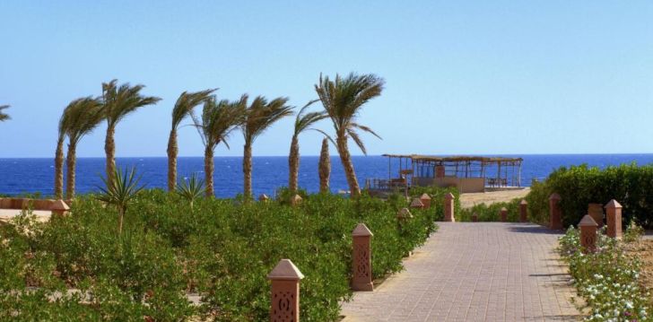 atostogos Egiptas – apsistokite viešbutyje VIVA BLUE RESORT SOMA BAY (12+)