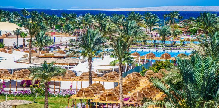 Planuoji kelionę į Egiptas? apsistokite 5 viešbutyje DESERT ROSE RESORT HURGHADA.