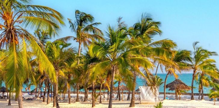 Patogus viešbutis jūsų kelionei – 4* JUMBO RESORT WATAMU