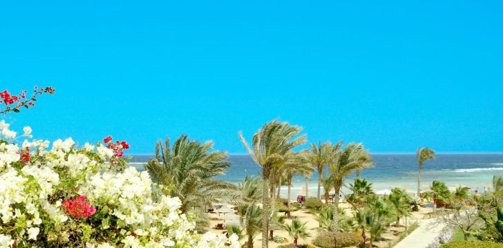 viešbutis ROYAL BRAYKA BEACH RESORT įsikūręs Egiptas.