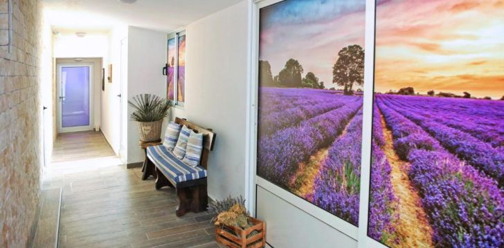 apgyvendinimas 3* HOTEL DELFIN