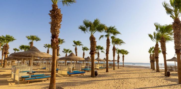 AMWAJ BEACH CLUB ABU SOMA (ex.Pickalbatros Beach Club Abu Soma) - klientų vertinamas, kaip geras kainos ir kokybės santykis.
