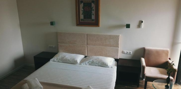 Geras kainos ir kokybės santykis atostogoms - viešbutis BELGRADE RUSTAVELI