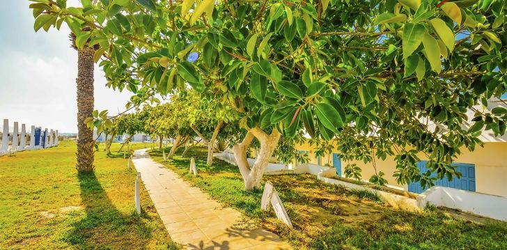 jaukus viešbutis NOVOSTAR BUDGET PYRAMIDES CLUB & SPA, jūsų atostogoms