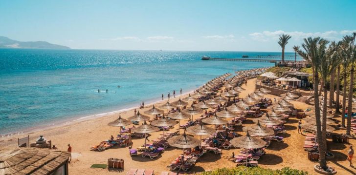 Viešbutis NUBIAN ISLAND įsikūręs Egiptas.
