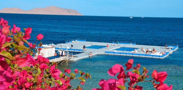 jaukus viešbutis DOMINA CORAL BAY SULTAN, jūsų atostogoms