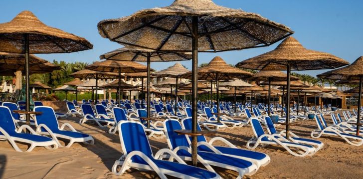 patogus viešbutis jūsų kelionei – 4* IVY CYRENE SHARM (ADULTS ONLY 13+)