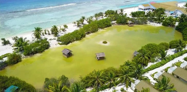 Viešbutis SOUTH PALM RESORT MALDIVES įsikūręs Maldyvai. 