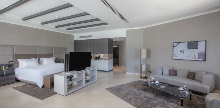 Prabangus poilsis 5* PICKALBATROS LUXURY SUITES viešbutyje! 14