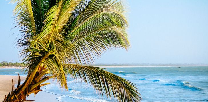 Apgyvendinimas 3* BUNGALOW BEACH