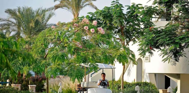 Viešbutis REEF OASIS BLUE BAY RESORT įsikūręs Egiptas.