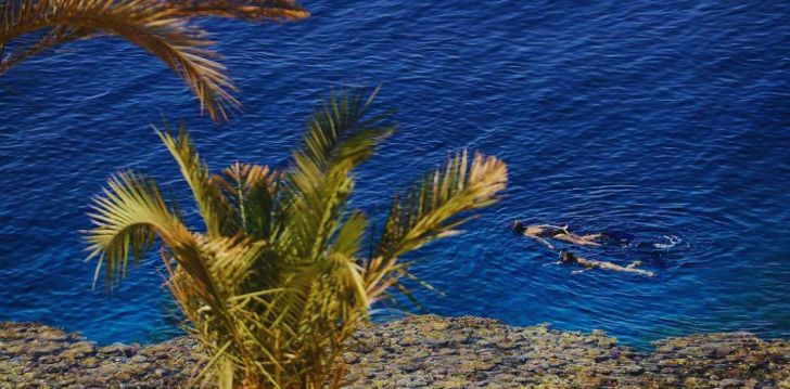 Patogus viešbutis jūsų kelionei – 5* REEF OASIS BLUE BAY RESORT