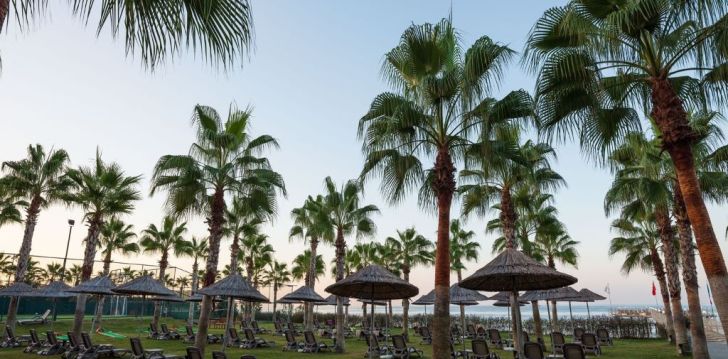 viešbutis RUBI PLATINUM SPA RESORT & SUITES įsikūręs Turkija. 