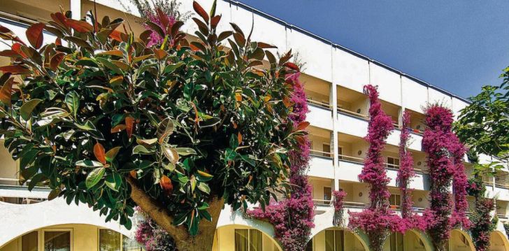 planuoji kelionę į Turkija? apsistokite 5 viešbutyje LABRANDA ALANTUR RESORT. 