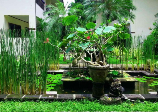 LEGIAN PARADISO HOTEL 5