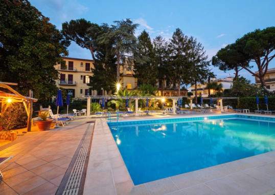 DELLE PALME 1