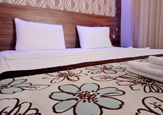 DOLPHIN APART & HOTEL 14