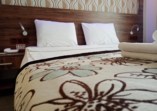 DOLPHIN APART & HOTEL 20
