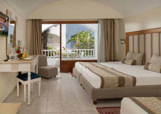 LE HAMMAMET HOTEL & SPA 20