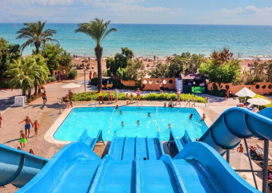 ASTERIA FAMILY BELEK 6