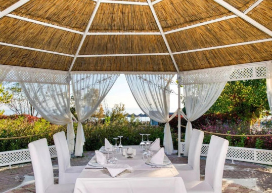 ASTERIA FAMILY BELEK 24