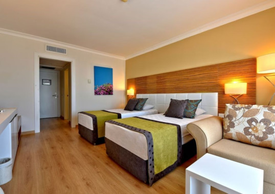ASTERIA FAMILY BELEK 50