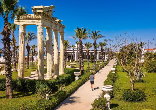 SELECTUM NOA BELEK 11