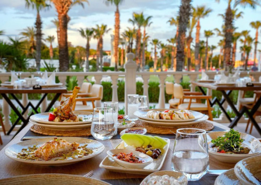 SELECTUM NOA BELEK 22
