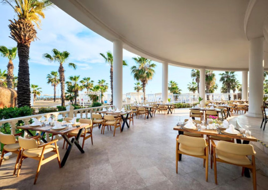 SELECTUM NOA BELEK 25