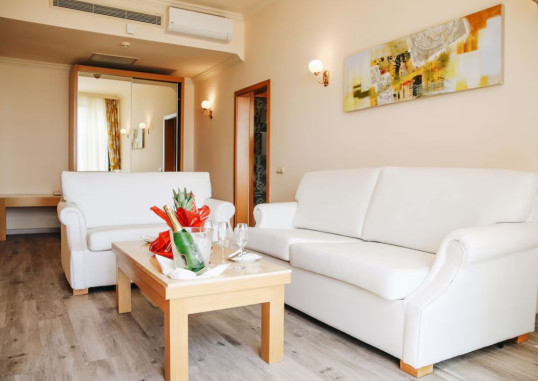 SELECTUM NOA BELEK 43
