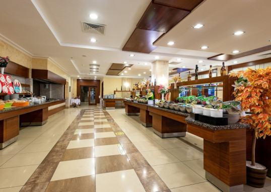VIKING STAR 14