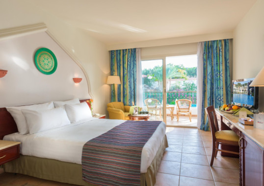 BARON PALMS RESORT (ADULTS ONLY 16+) 18