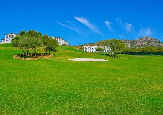GEOVILLAGE GREEN RESIDENCE 29