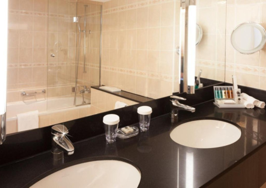 CROWNE PLAZA ZURICH 25
