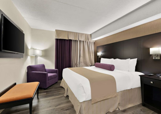 BEST WESTERN PLUS TORONTO NORTH YORK HOTEL & SUITES 3