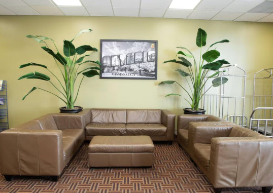 SUPER 8 BY WYNDHAM MISSISSAUGA 1