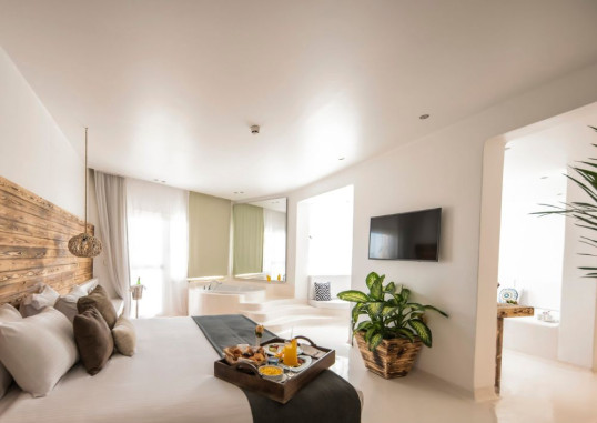 MERAKI RESORT (ADULTS ONLY) 37