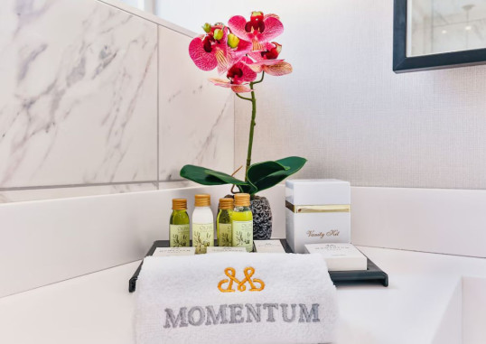 HOTEL MOMENTUM BY AYCON 29