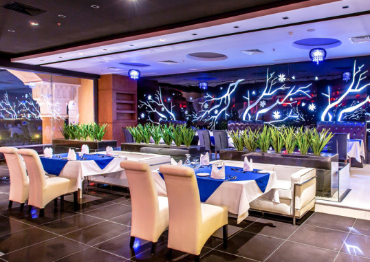 JASMINE PALACE 50