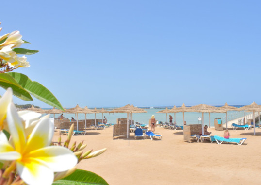 JASMINE PALACE 62