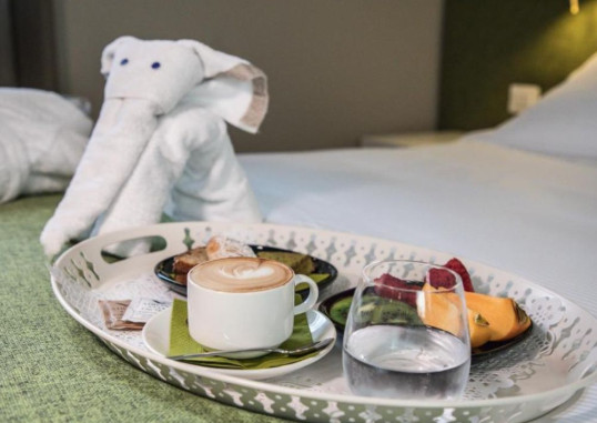 AIRONE CITY HOTEL 24