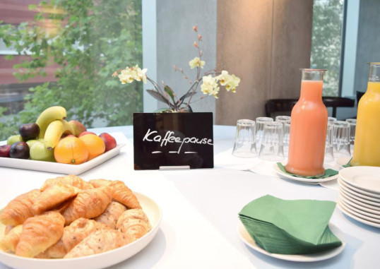 PLACID HOTEL ZURICH 10