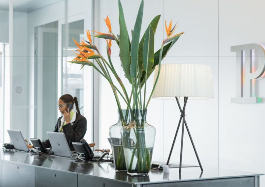 PLACID HOTEL ZURICH 13