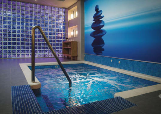 RIU REGGAE (ADULTS ONLY) 29