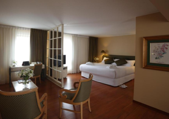 SUITES DEL BOSQUE HOTEL 4