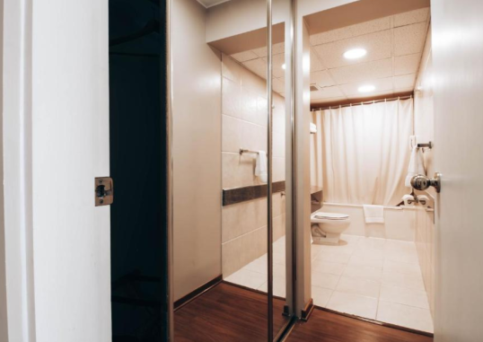 SUITES DEL BOSQUE HOTEL 6