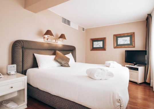 SUITES DEL BOSQUE HOTEL 3